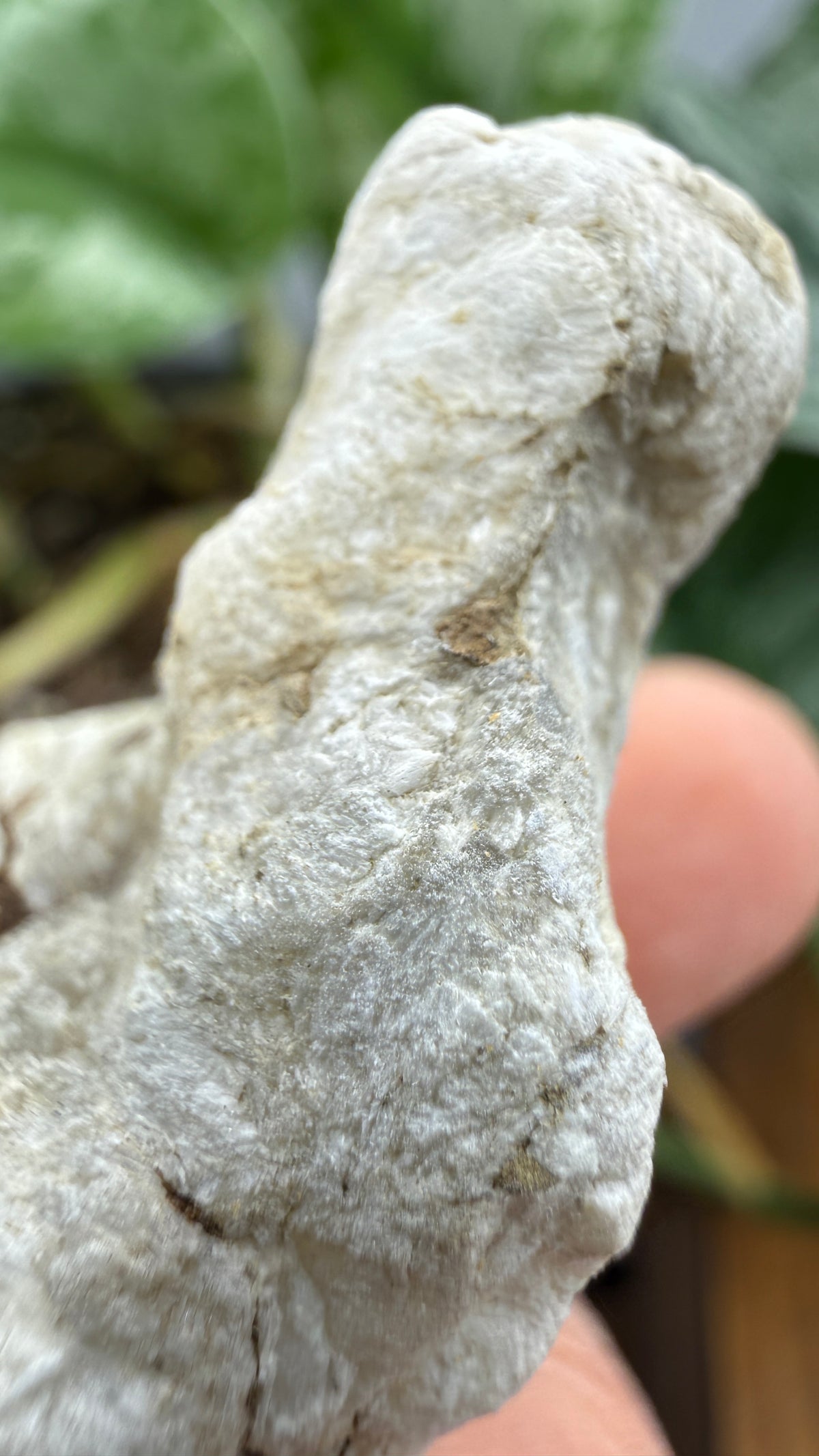 Ulexite– Nevada