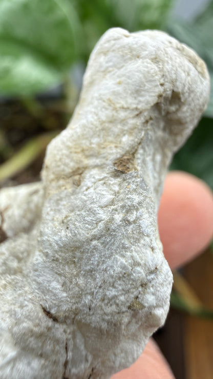 Ulexite– Nevada