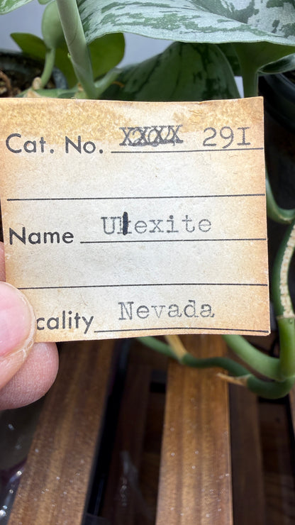 Ulexite– Nevada
