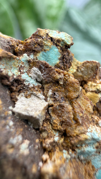 Turquoise– Rosario, Baja California, Mexico