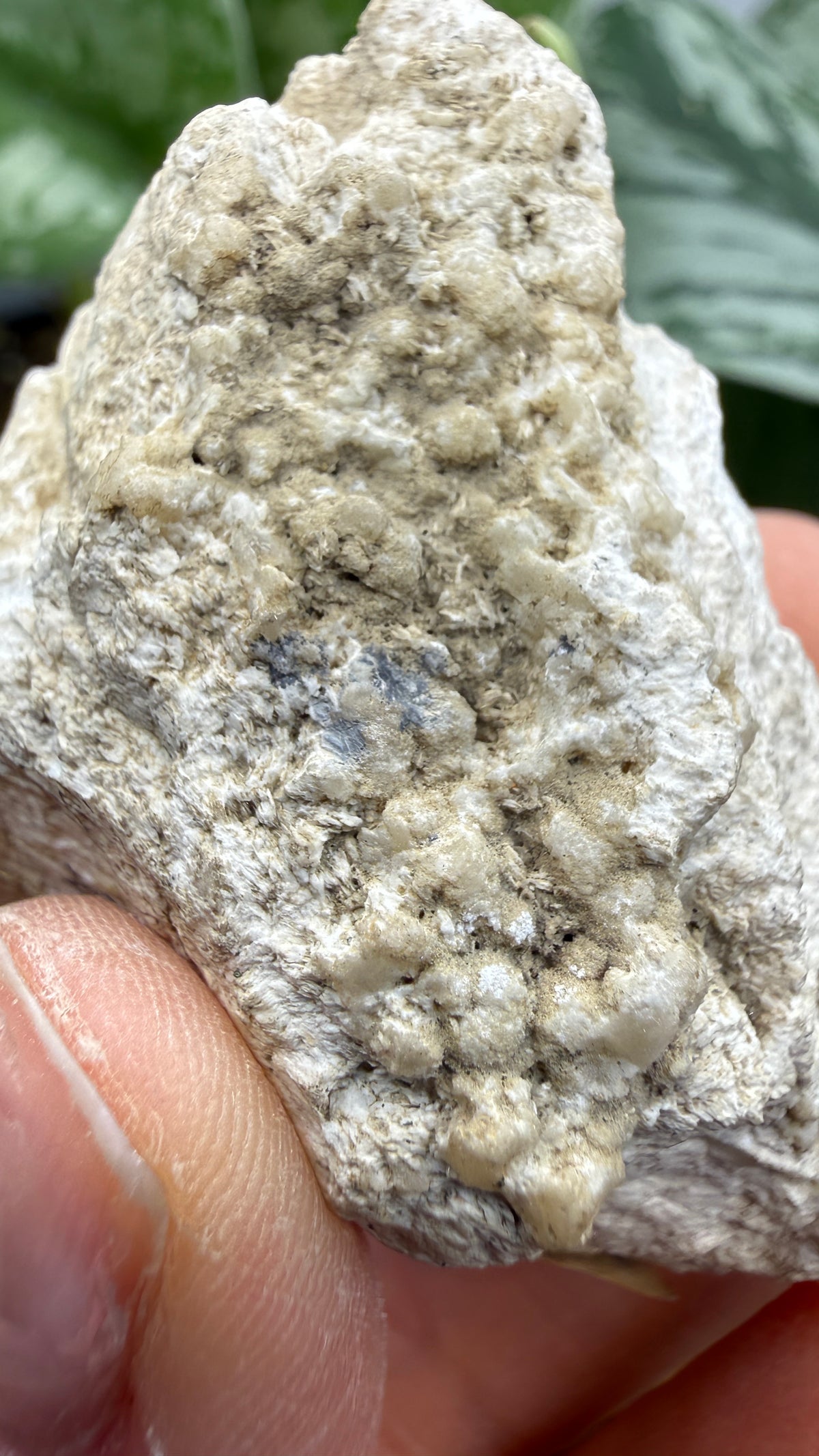 Barite, Galena- Lockport Vein, Lockport, Henry County, Kentucky, USA
