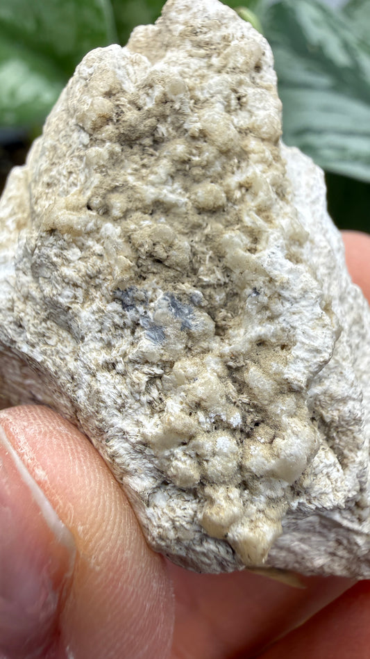 Barite, Galena- Lockport Vein, Lockport, Henry County, Kentucky, USA