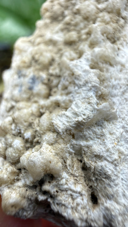 Barite, Galena- Lockport Vein, Lockport, Henry County, Kentucky, USA