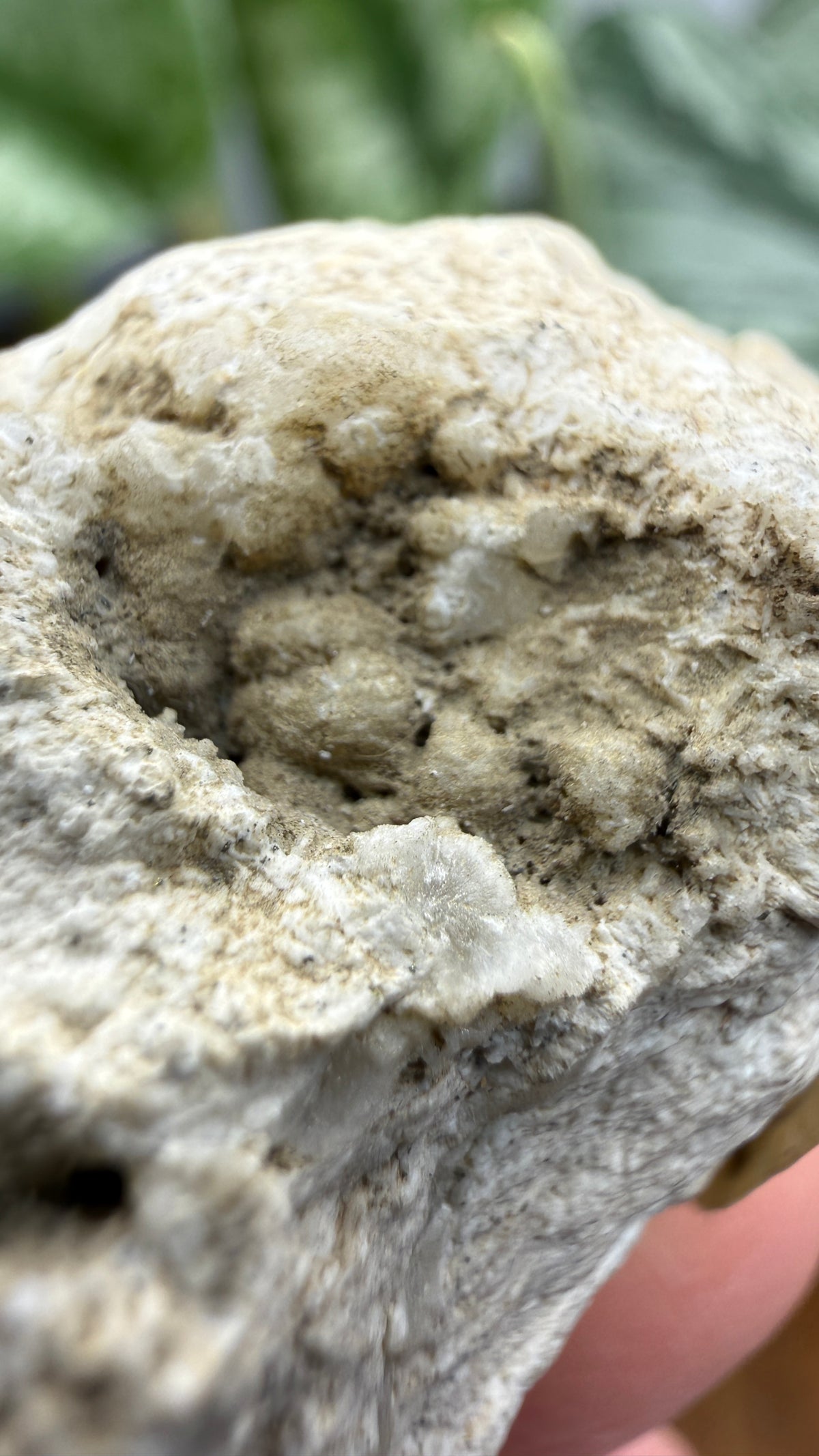 Barite, Galena- Lockport Vein, Lockport, Henry County, Kentucky, USA