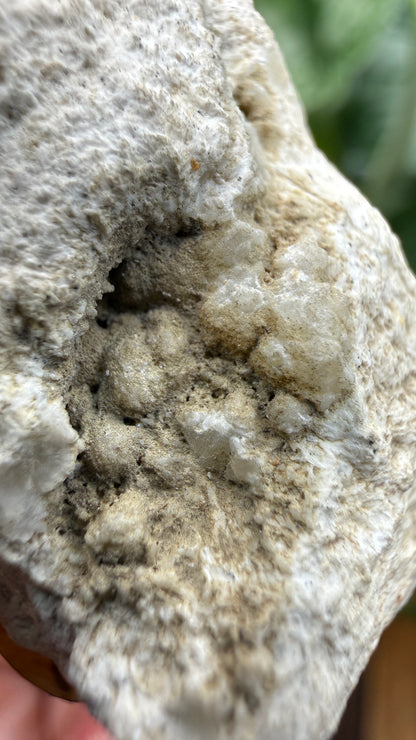 Barite, Galena- Lockport Vein, Lockport, Henry County, Kentucky, USA