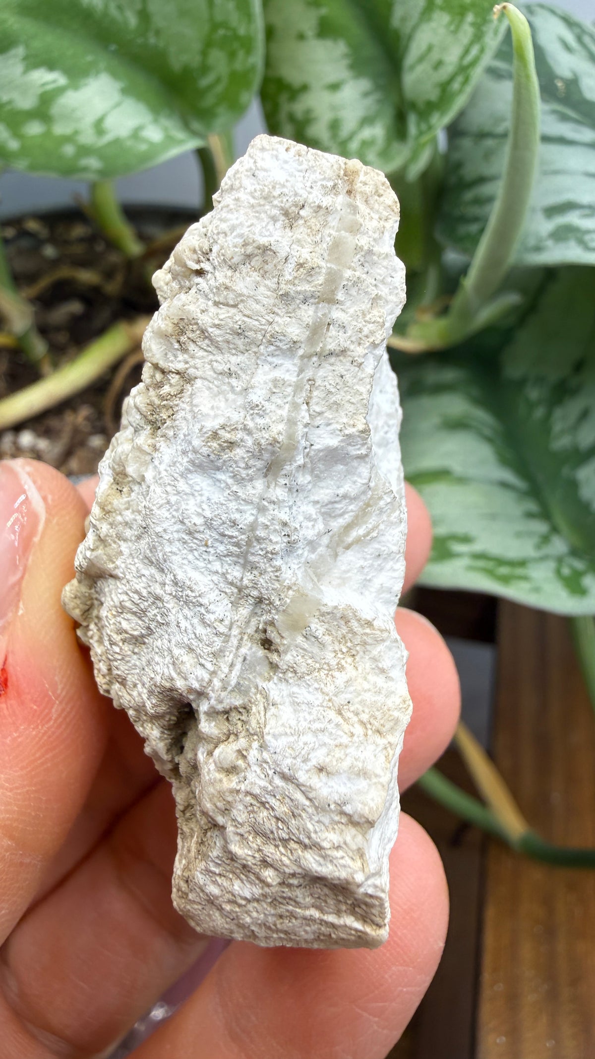 Barite, Galena- Lockport Vein, Lockport, Henry County, Kentucky, USA