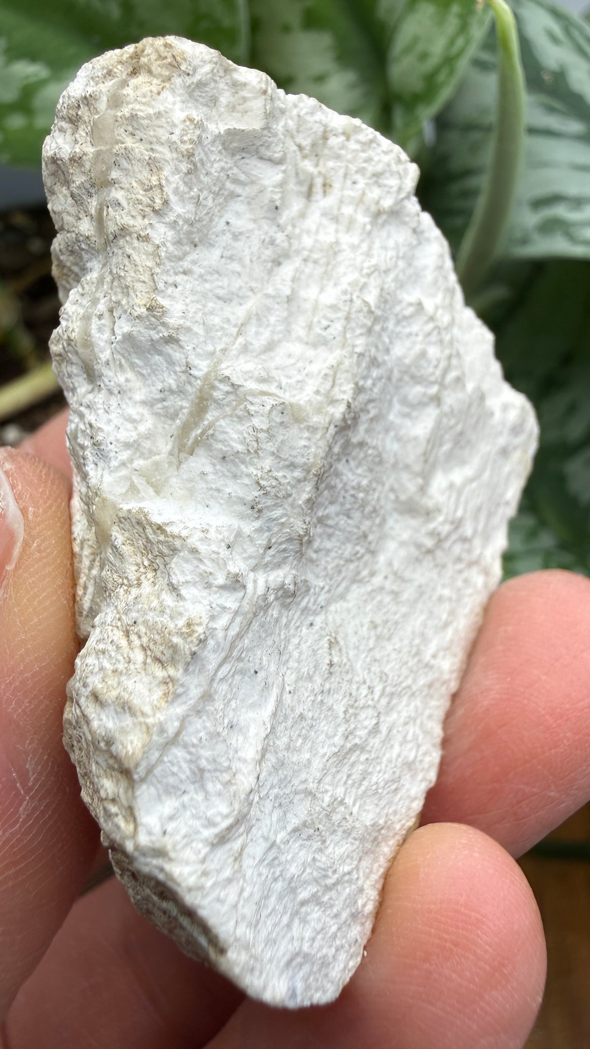 Barite, Galena- Lockport Vein, Lockport, Henry County, Kentucky, USA