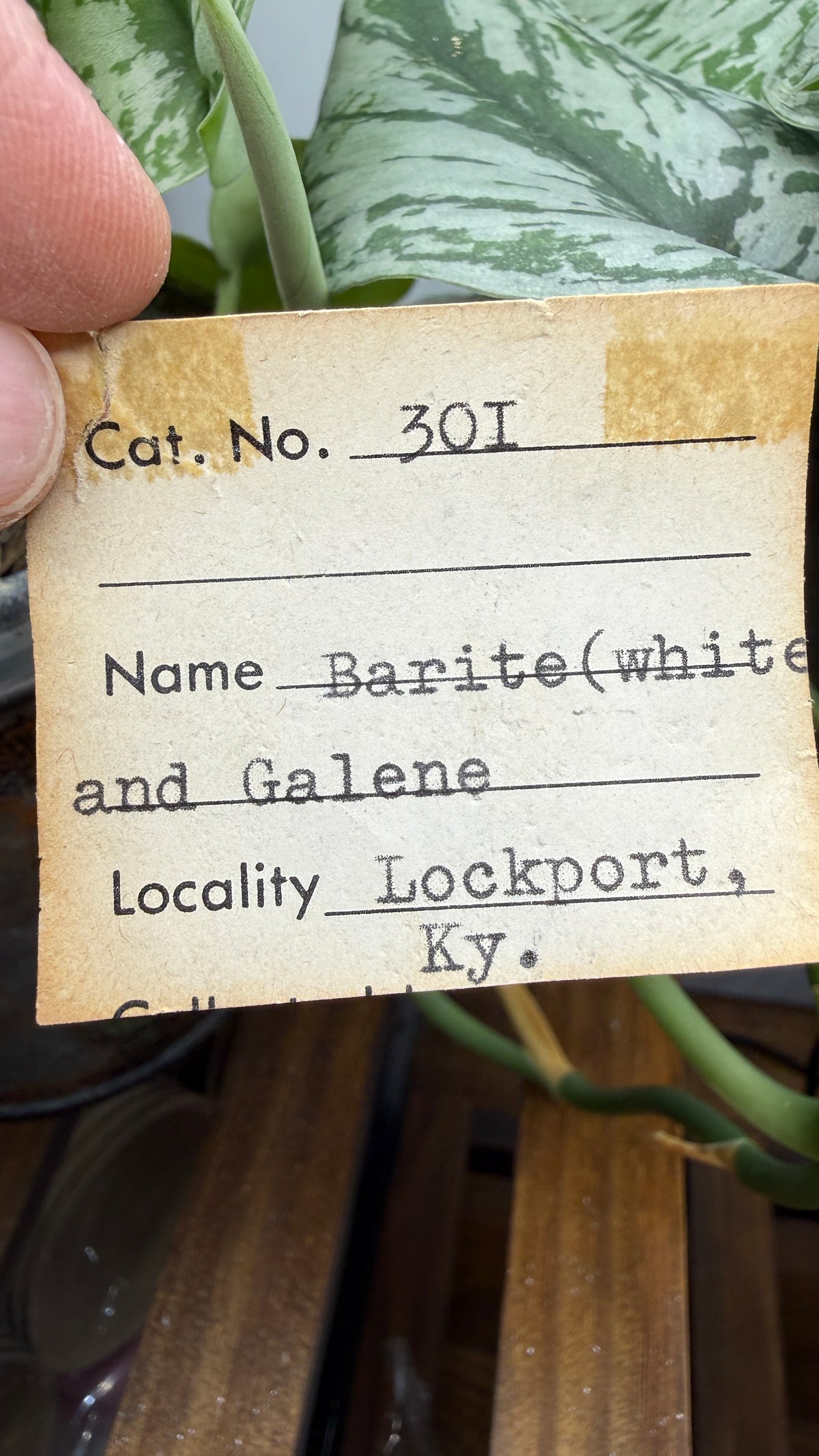 Barite, Galena- Lockport Vein, Lockport, Henry County, Kentucky, USA