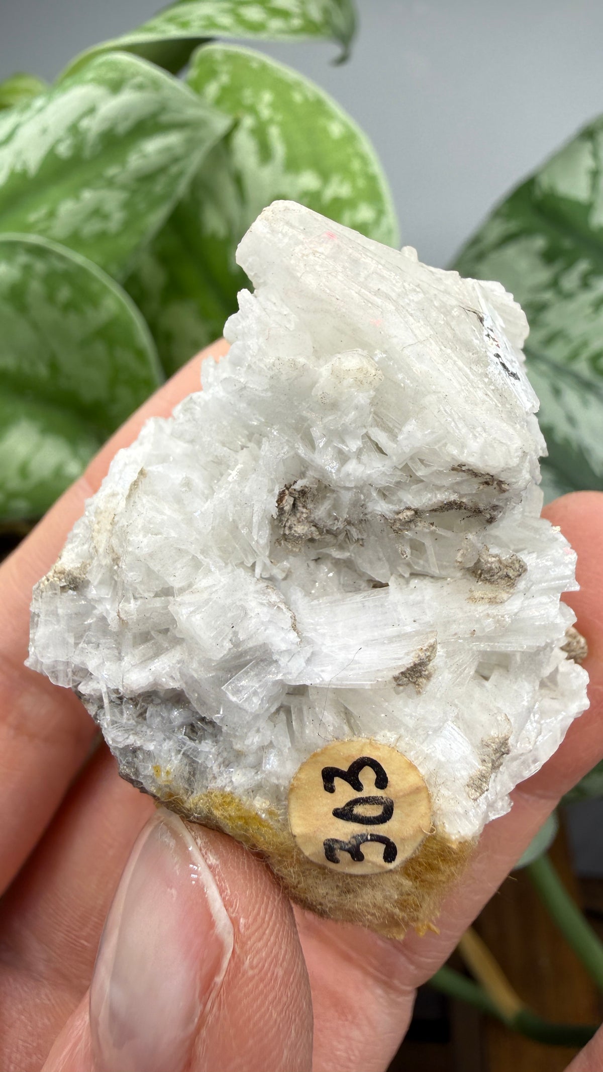 Celestine- Clay Center, Ottawa County, Ohio, USA