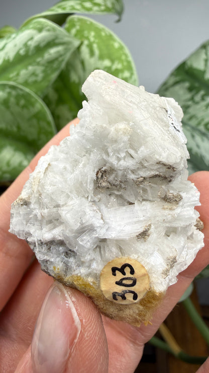 Celestine- Clay Center, Ottawa County, Ohio, USA