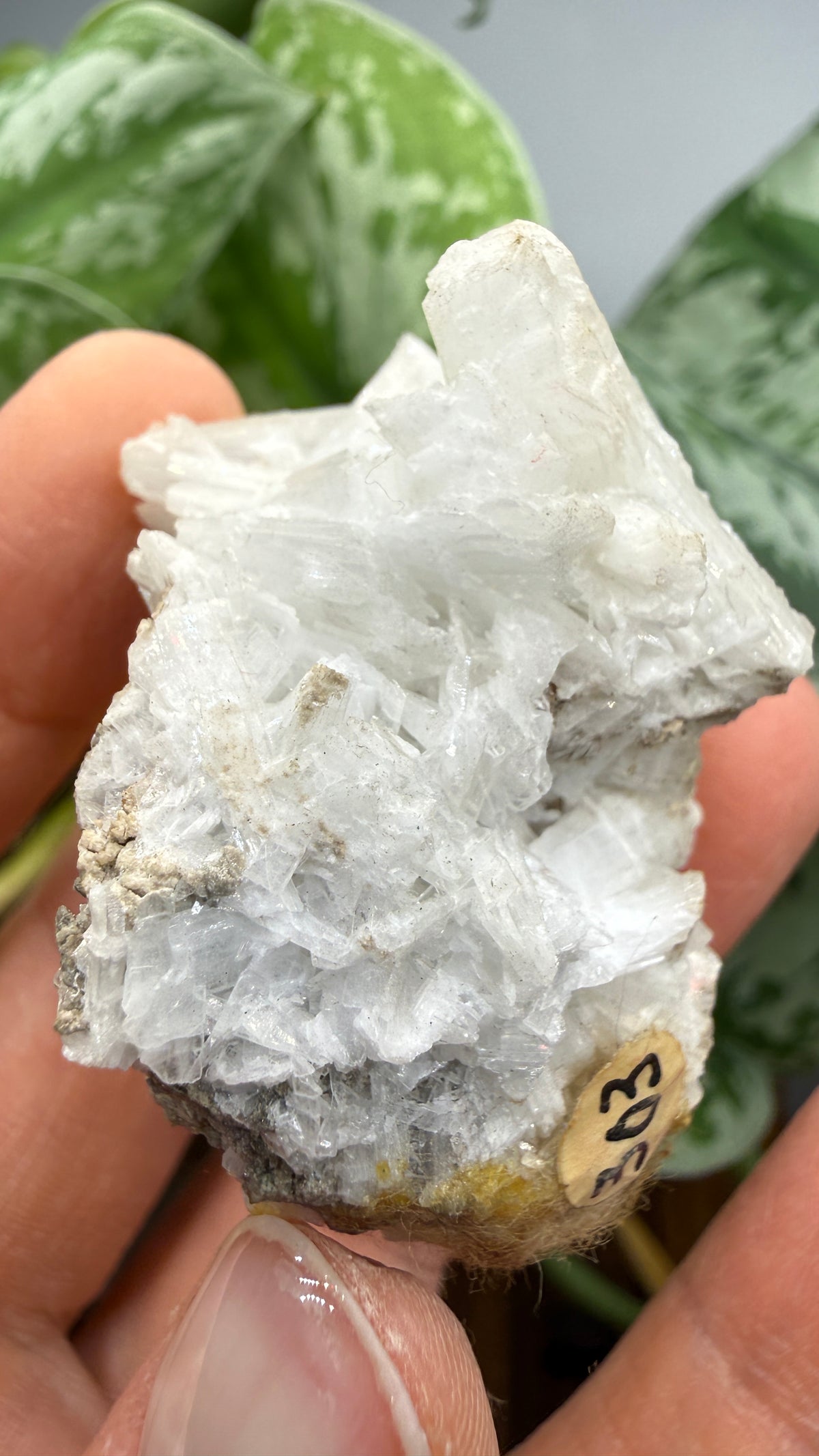 Celestine- Clay Center, Ottawa County, Ohio, USA