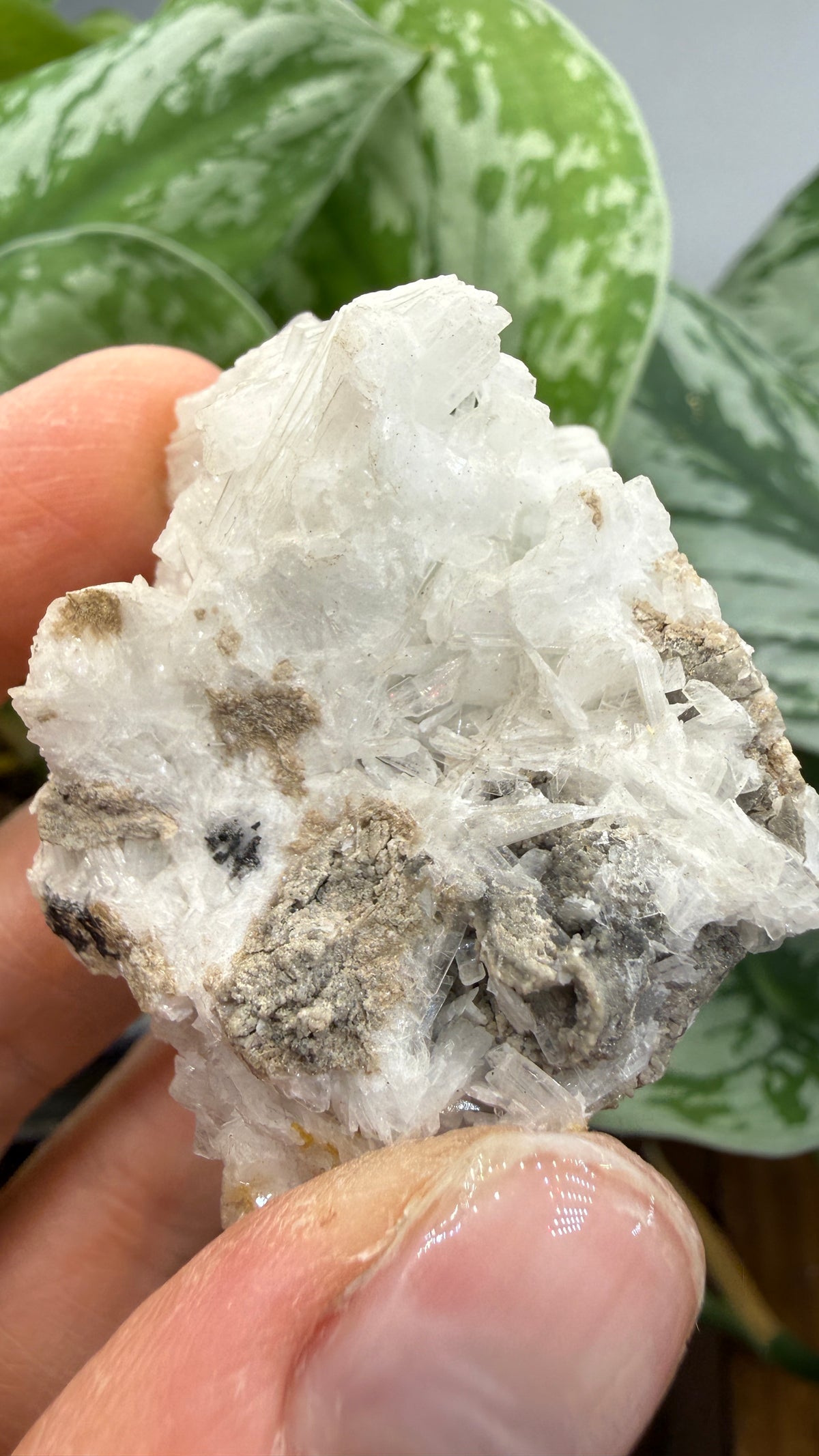 Celestine- Clay Center, Ottawa County, Ohio, USA