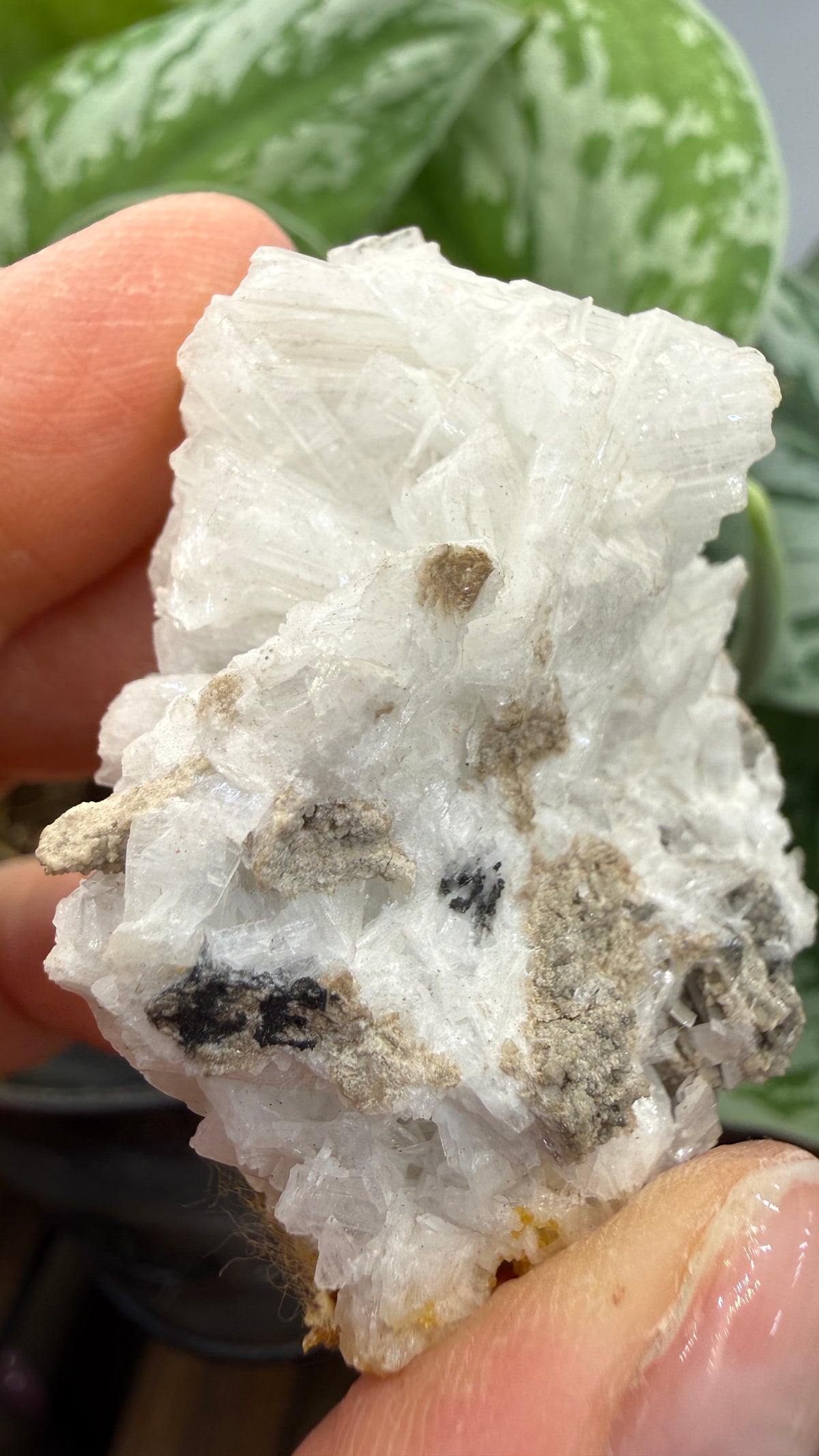 Celestine- Clay Center, Ottawa County, Ohio, USA