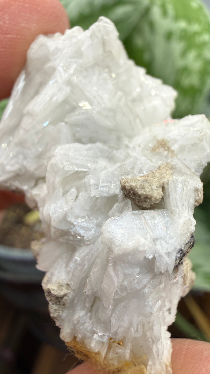 Celestine- Clay Center, Ottawa County, Ohio, USA
