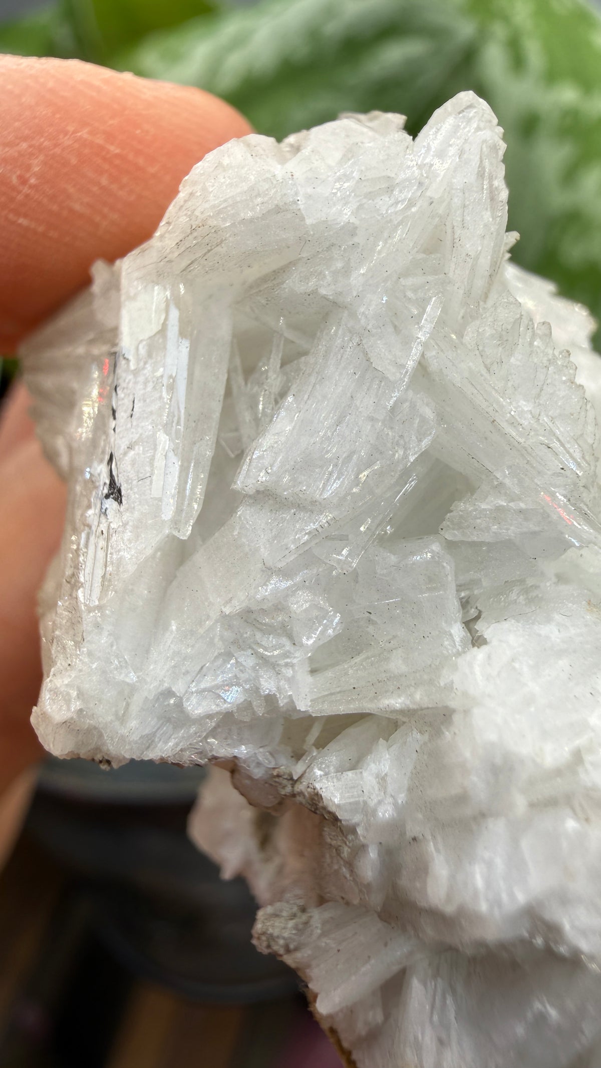 Celestine- Clay Center, Ottawa County, Ohio, USA