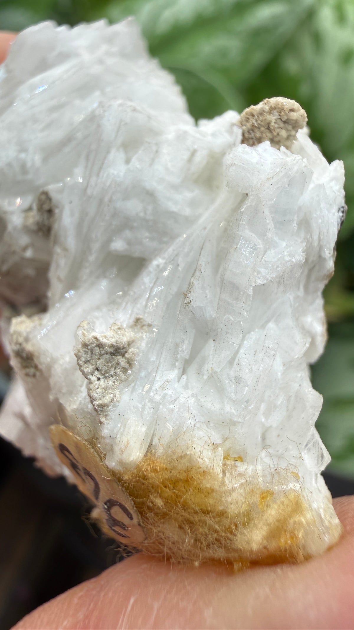 Celestine- Clay Center, Ottawa County, Ohio, USA