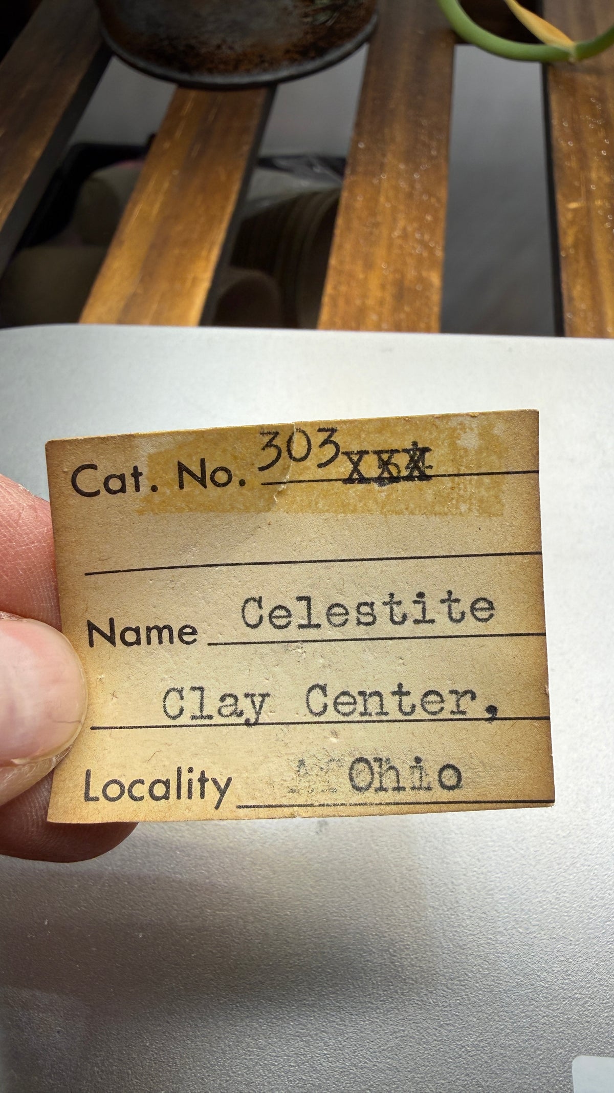 Celestine- Clay Center, Ottawa County, Ohio, USA