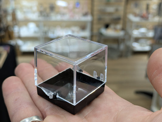 Plastic Perky Thumbnail Mineral Specimen Container