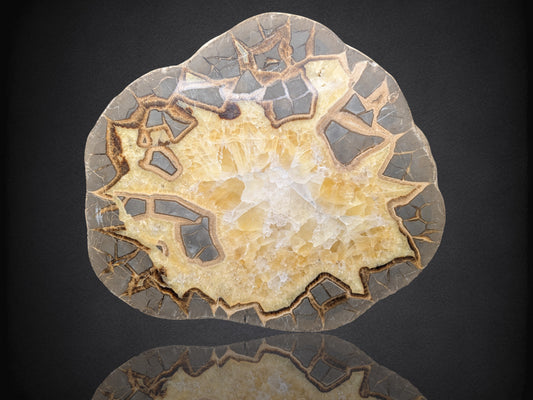 SEPTARIAN NODULE- Polished Face Half- Utah