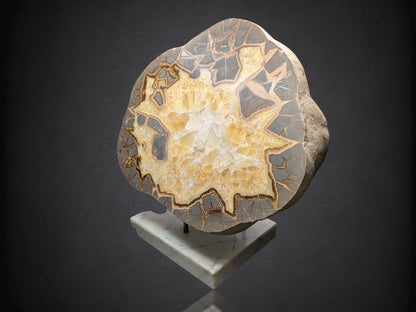 SEPTARIAN NODULE- Polished Face Half- Utah