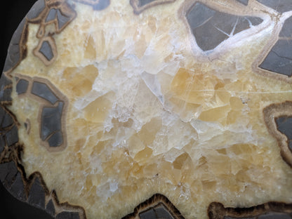 SEPTARIAN NODULE- Polished Face Half- Utah