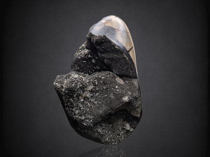 SEPTARIAN NODULE- Standing Cut Base- Morocco