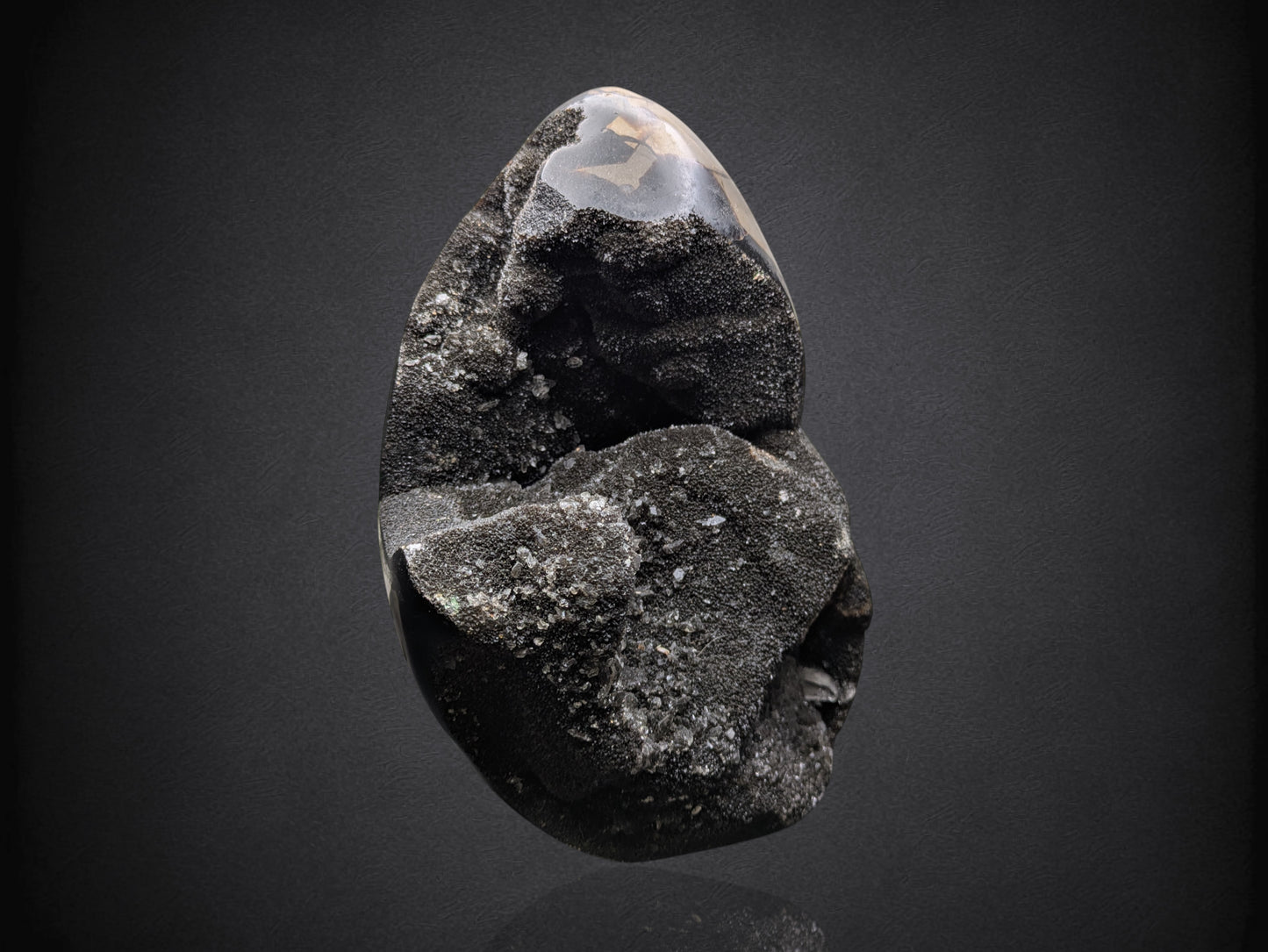 SEPTARIAN NODULE- Standing Cut Base- Morocco