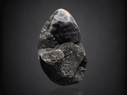 SEPTARIAN NODULE- Standing Cut Base- Morocco