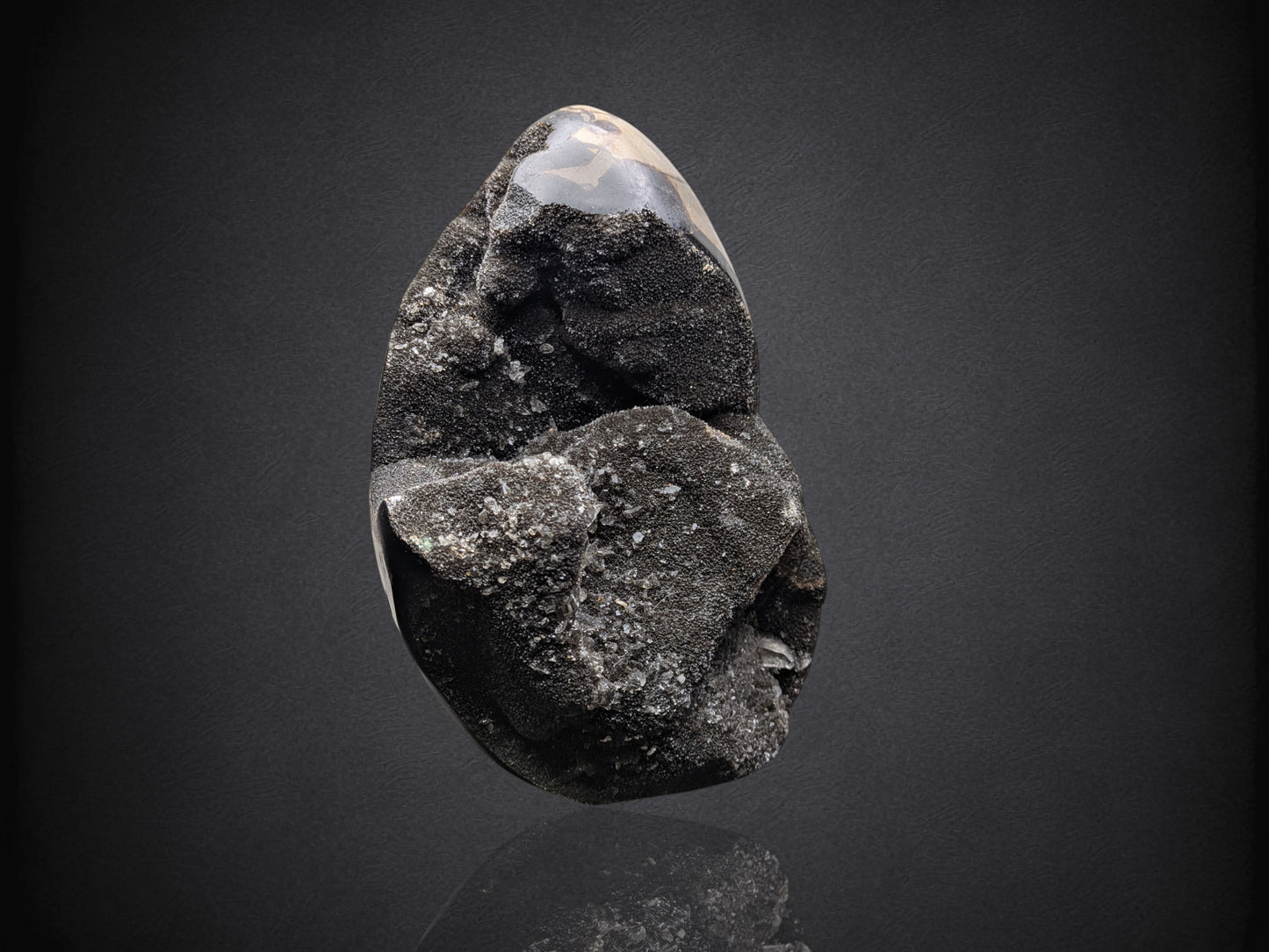 SEPTARIAN NODULE- Standing Cut Base- Morocco