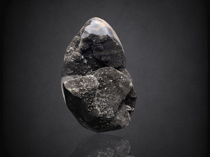 SEPTARIAN NODULE- Standing Cut Base- Morocco