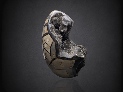 SEPTARIAN NODULE- Standing Cut Base- Morocco