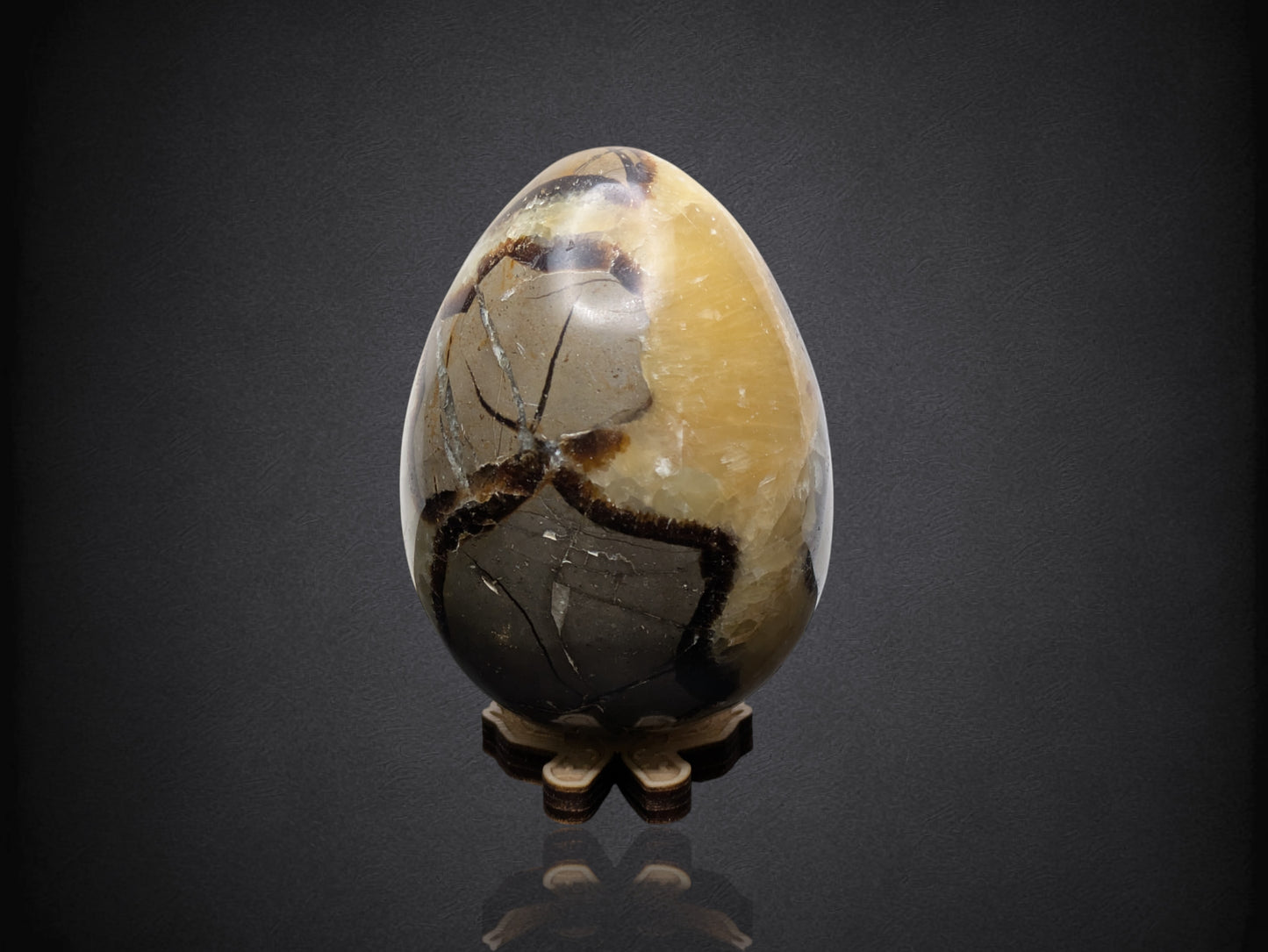 SEPTARIAN NODULE "Dragon Egg" - Morocco