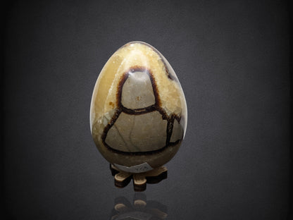 SEPTARIAN NODULE "Dragon Egg" - Morocco