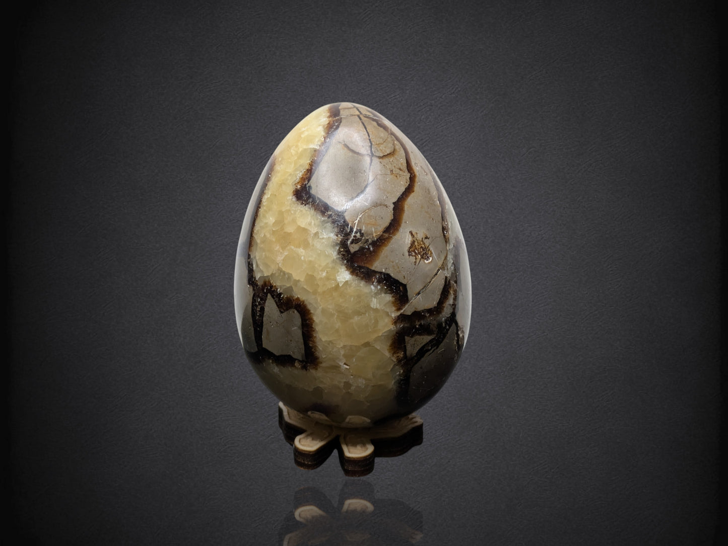 SEPTARIAN NODULE "Dragon Egg" - Morocco