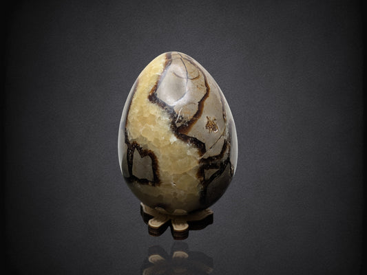 SEPTARIAN NODULE "Dragon Egg" - Morocco