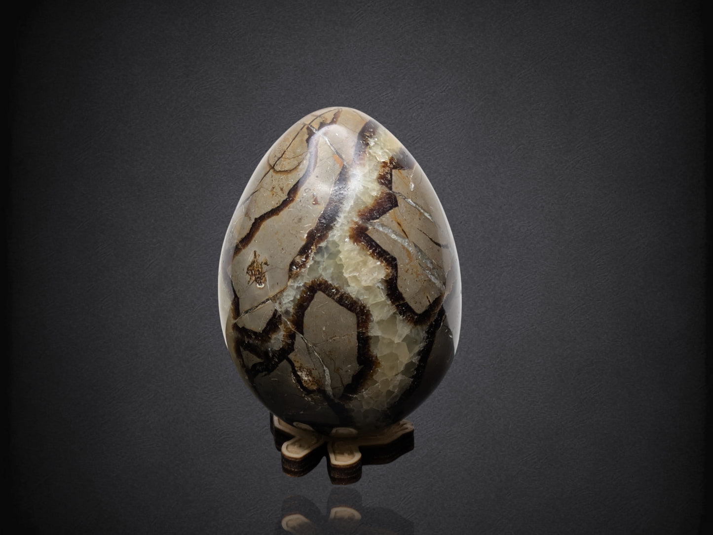 SEPTARIAN NODULE "Dragon Egg" - Morocco