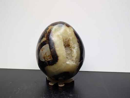 SEPTARIAN NODULE "Dragon Egg" - Morocco