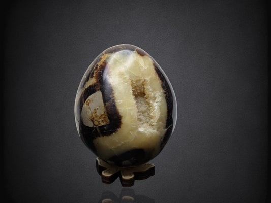 SEPTARIAN NODULE "Dragon Egg" - Morocco