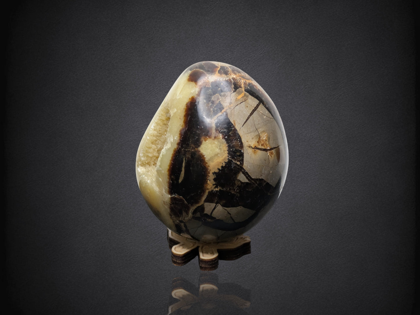 SEPTARIAN NODULE "Dragon Egg" - Morocco