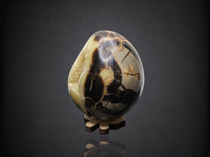 SEPTARIAN NODULE "Dragon Egg" - Morocco