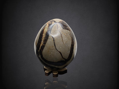 SEPTARIAN NODULE "Dragon Egg" - Morocco