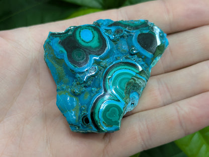 Polished Malacholla Slab