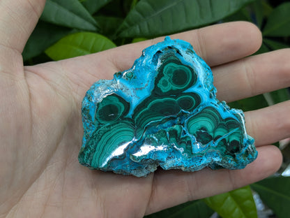 Polished Malacholla Slab