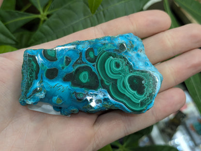 Polished Malacholla Slab