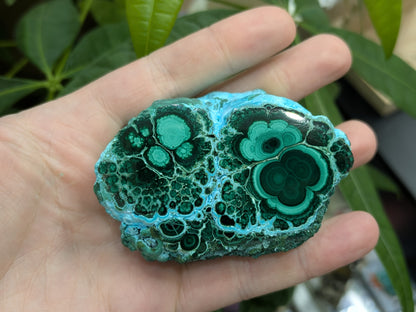 Polished Malacholla Slab