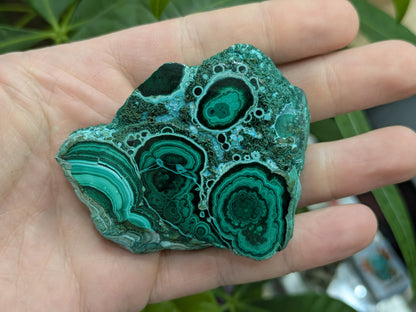 Polished Malacholla Slab