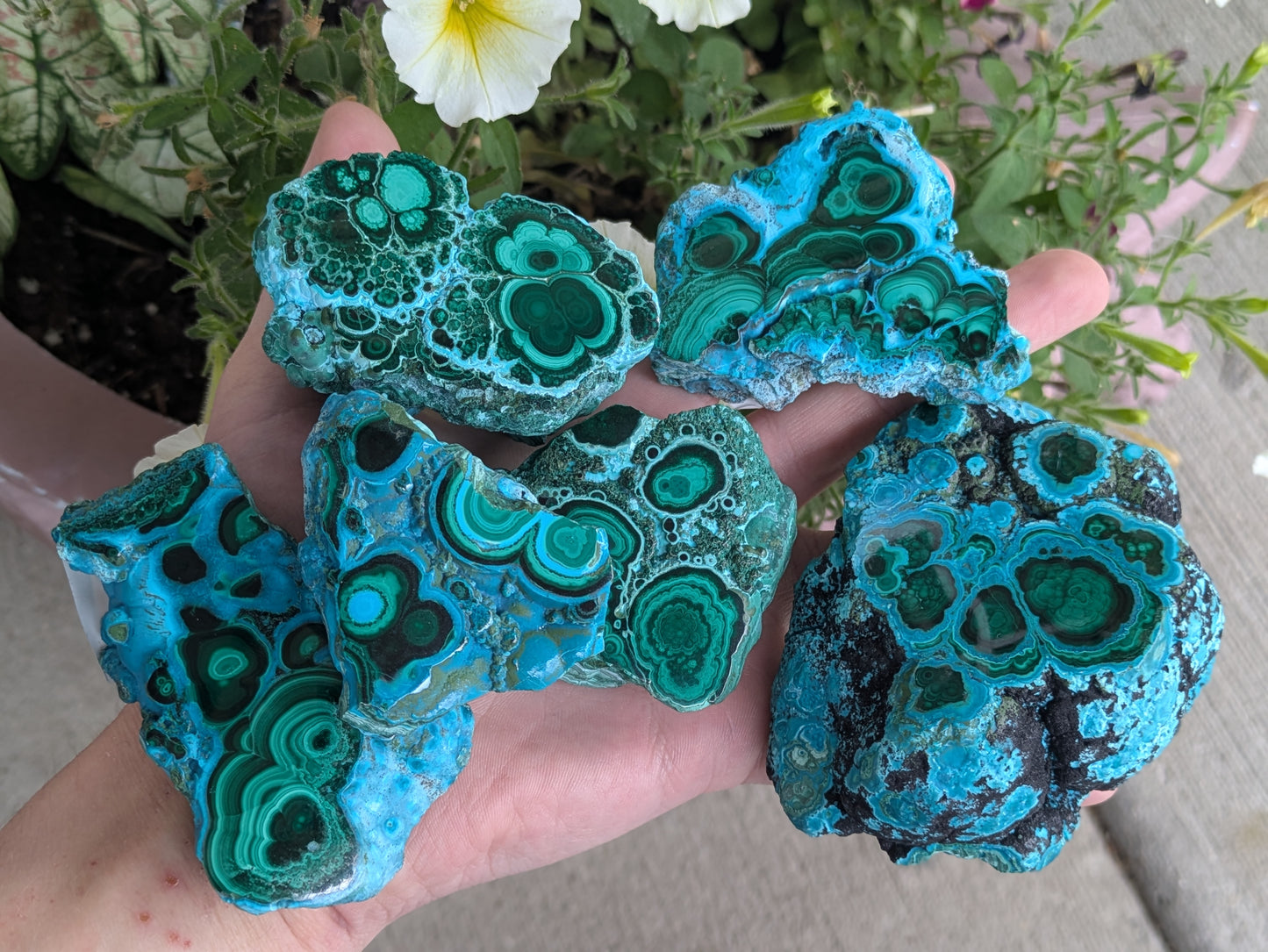 Polished Malacholla Slab