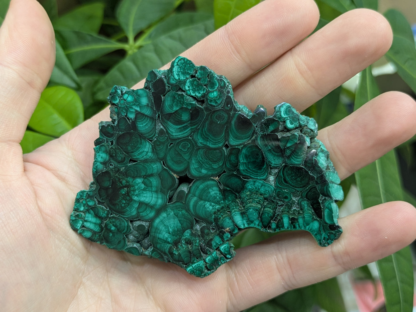 Polished Malachite Slab