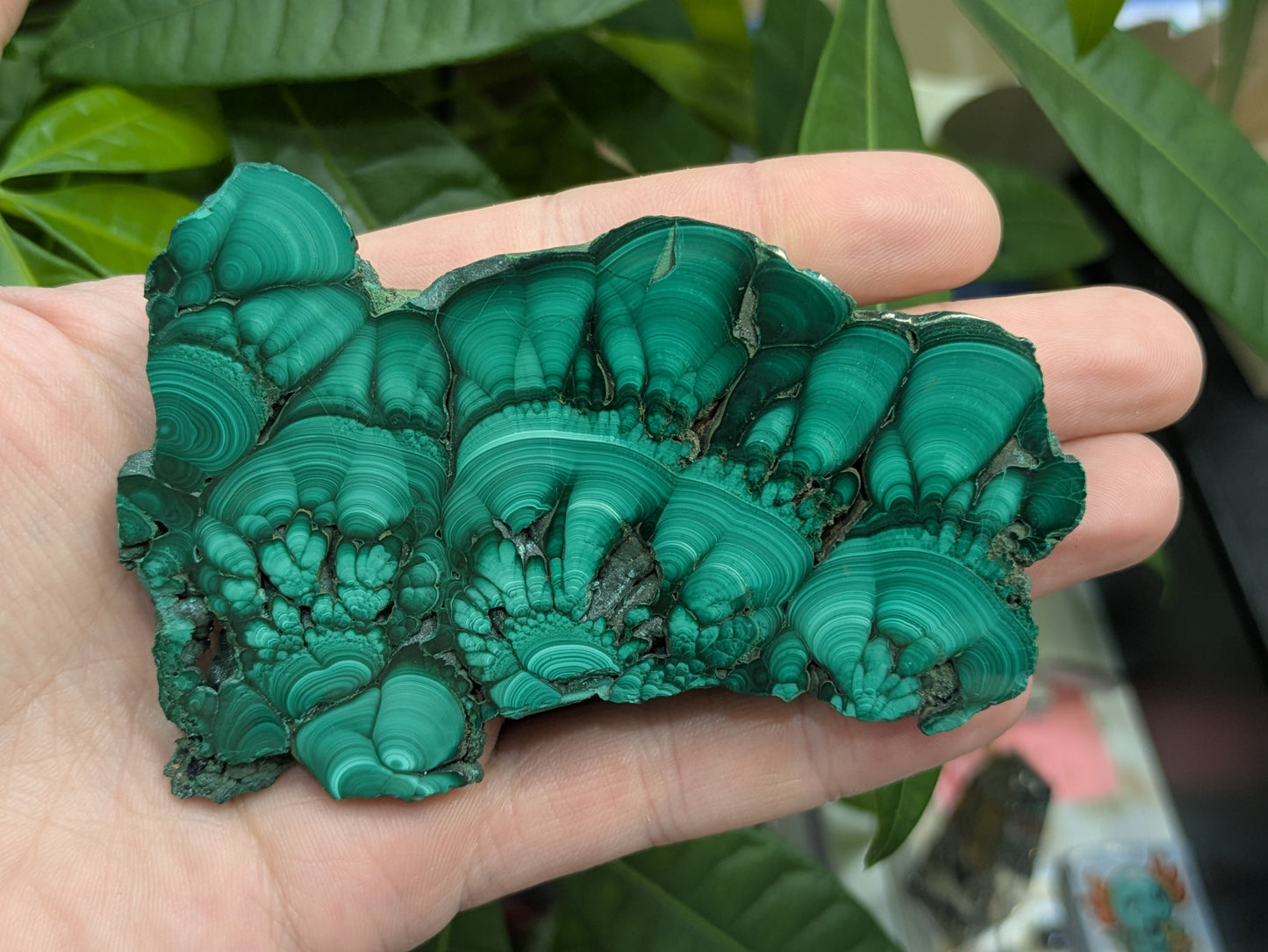 Polished Malachite Slab