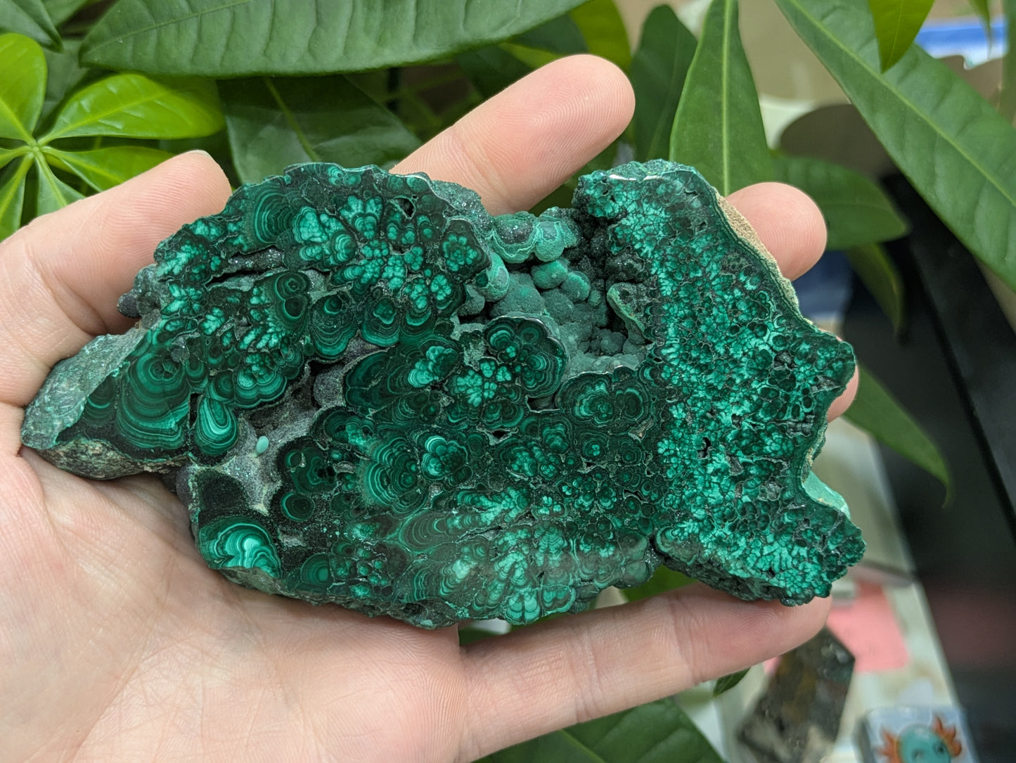 Polished Malachite Slab